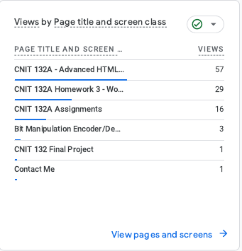 Bar chart showing most viewed pages: CNIT 132A Homepage, Homework 3, Assignments, Bit Manipulation Encoder, Final Project, and Contact page