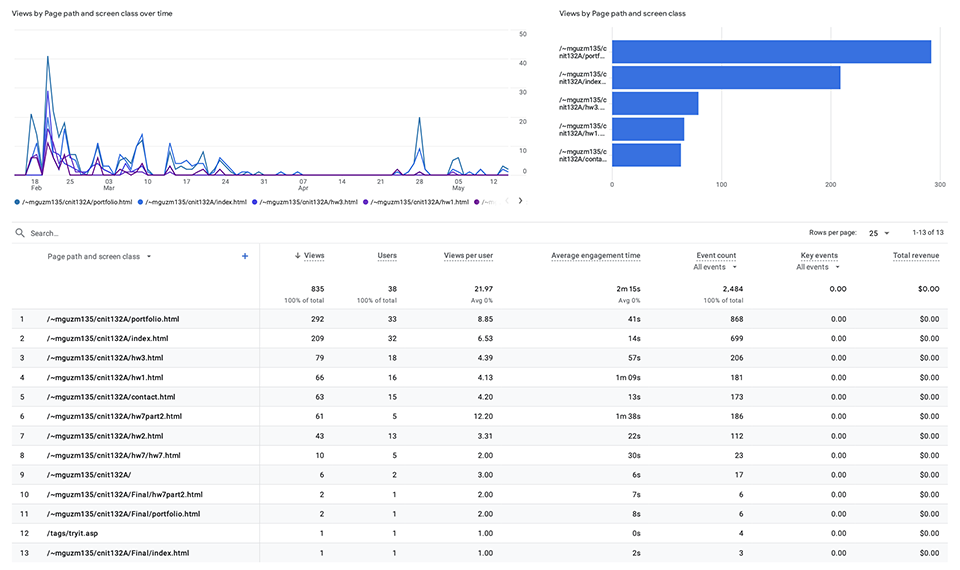 Google Analytics Report