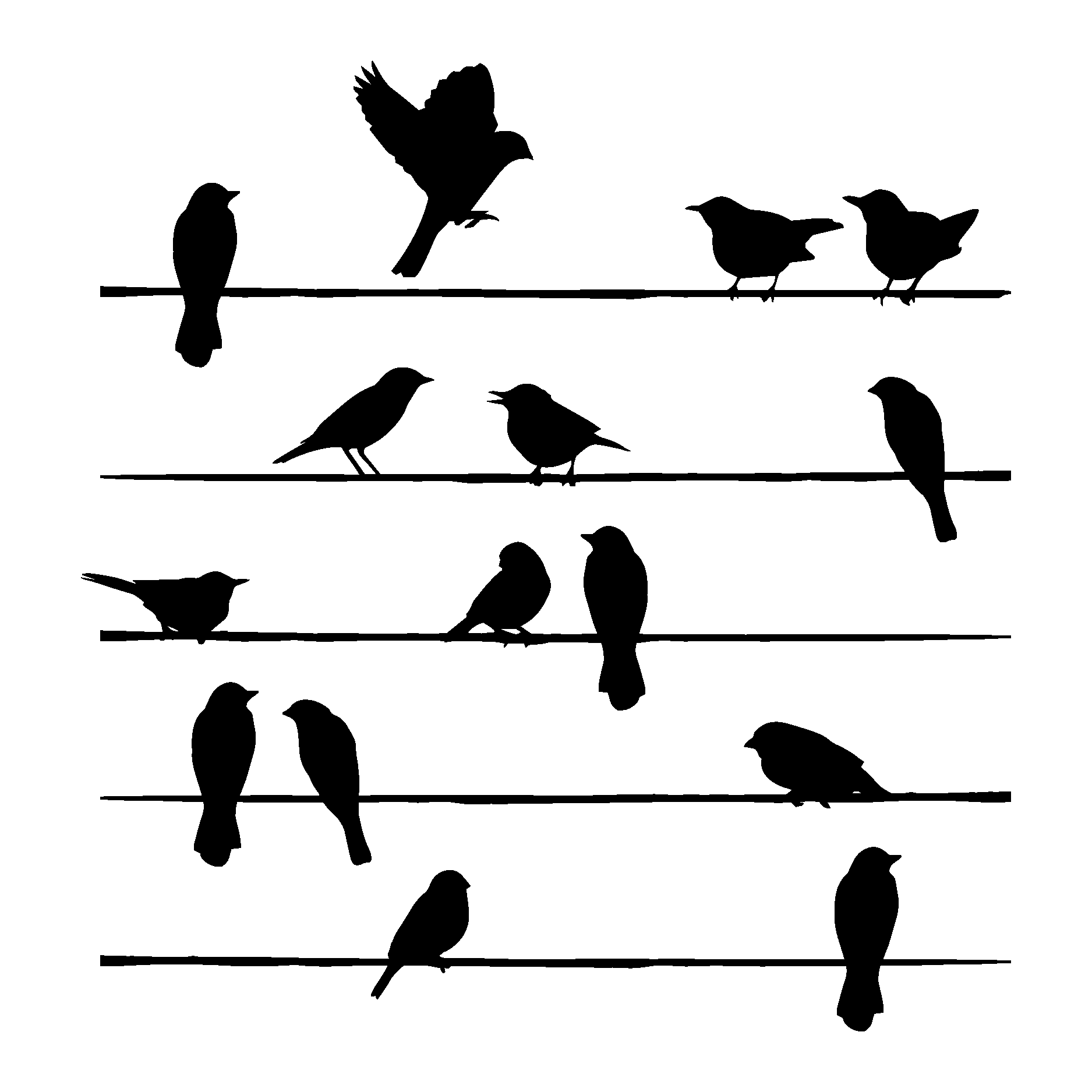 function